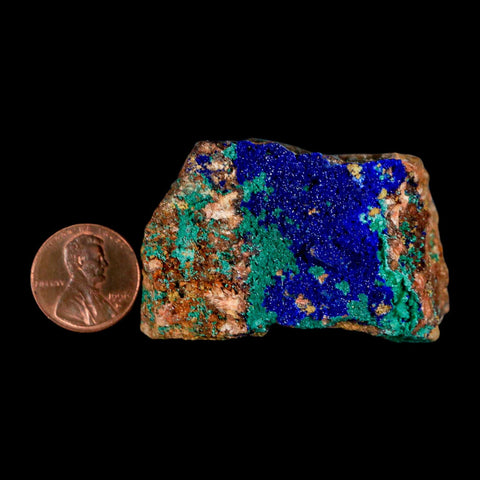 2" Azurite Crystals & Malachite On Matrix Colorful Mineral Specimen Morocco - Fossil Age Minerals