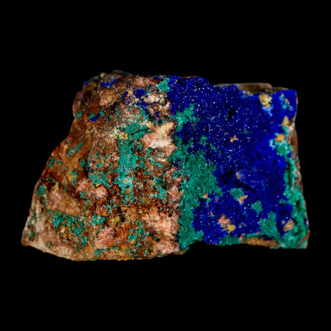 2" Azurite Crystals & Malachite On Matrix Colorful Mineral Specimen Morocco - Fossil Age Minerals