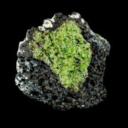 XL 4" Natural Emerald Peridot Crystal Minerals On Volcanic Rock Gila, Arizona