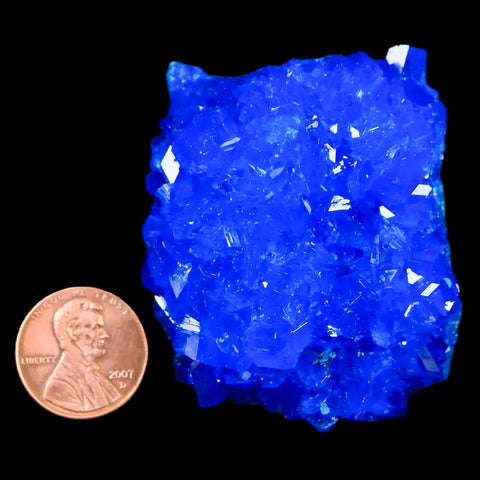 2.1" Electric Blue Chalcanthite Mineral Crystal Specimen Location Poland Sokolowski - Fossil Age Minerals