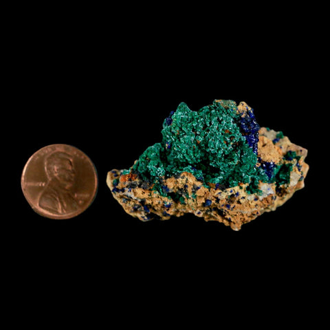 2.1" Azurite Crystals & Malachite On Matrix Colorful Mineral Specimen Morocco - Fossil Age Minerals