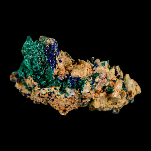2.1" Azurite Crystals & Malachite On Matrix Colorful Mineral Specimen Morocco - Fossil Age Minerals