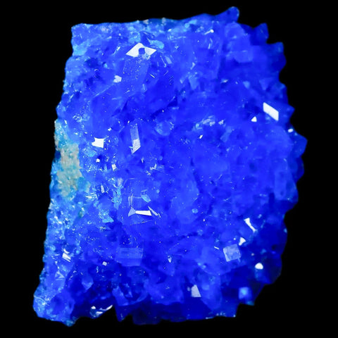 2.1" Electric Blue Chalcanthite Mineral Crystal Specimen Location Poland Sokolowski - Fossil Age Minerals