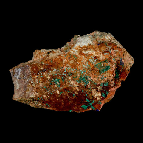 3.2" Azurite Crystals & Malachite On Matrix Colorful Mineral Specimen Morocco - Fossil Age Minerals