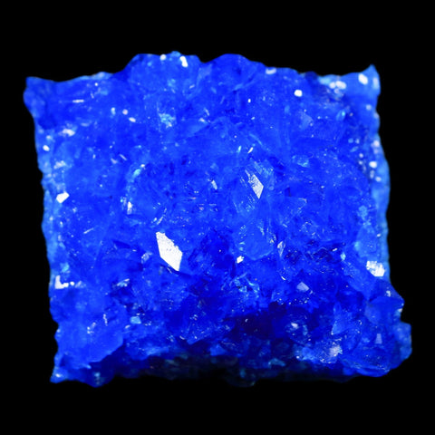 1.8" Electric Blue Chalcanthite Mineral Crystal Specimen Location Poland Sokolowski - Fossil Age Minerals
