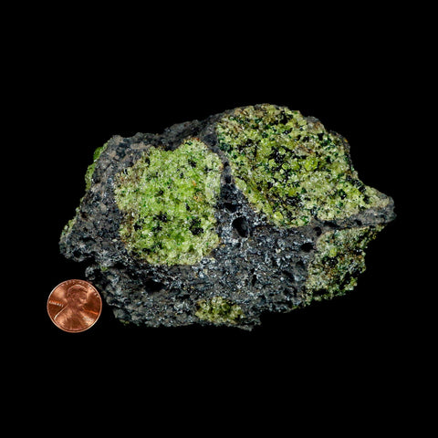 XL 4.5" Natural Emerald Peridot Crystal Minerals On Volcanic Rock Gila, Arizona - Fossil Age Minerals