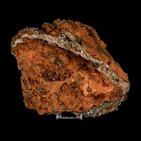 XXL 8.8" Brown Barite Blades Crystal Mineral Specimen Nador Morocco Stand