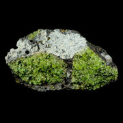 XL 4.3" Natural Emerald Peridot Crystal Minerals On Volcanic Rock Gila, Arizona