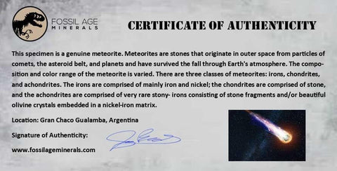 Campo Del Cielo Meteorite Gran Chaco Gualamba Argentina COA, Display 7 Grams - Fossil Age Minerals