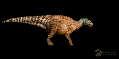 3.6" Edmontosaurus Dinosaur Fossil Vertebrae Bone Hell Creek FM MT COA Stand - Fossil Age Minerals