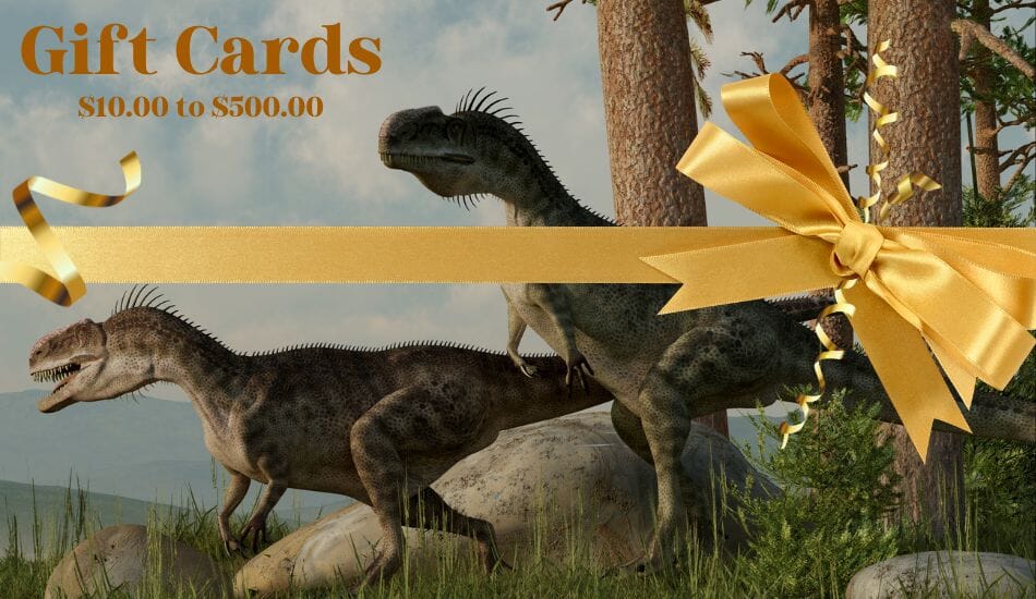 Gift Cards $10.00 to $500.00 - Fossil Age Minerals