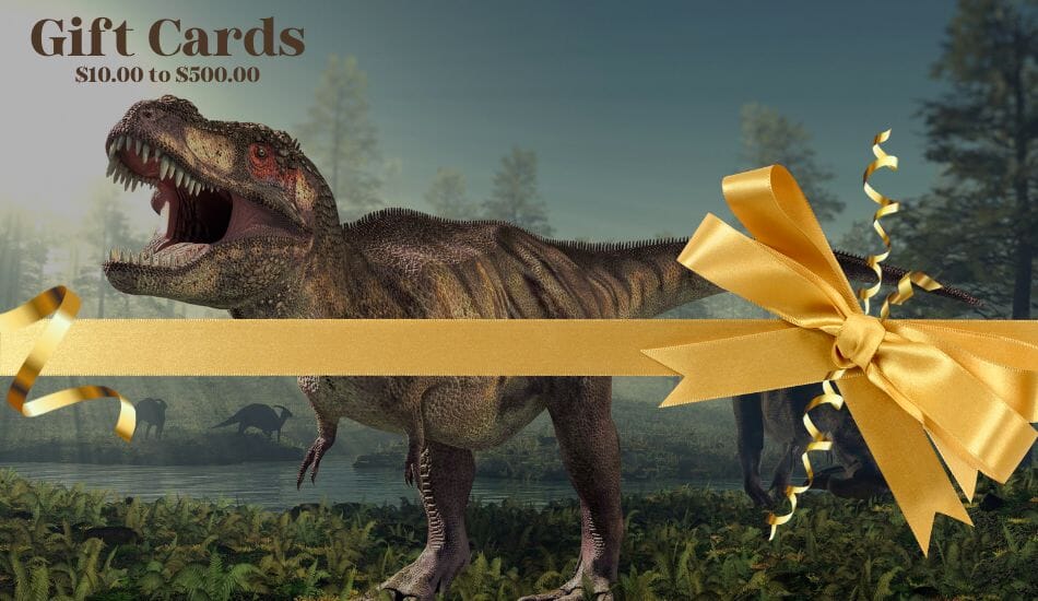 Gift Cards $10.00 to $500.00 - Fossil Age Minerals