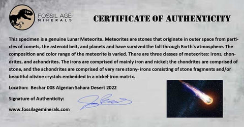 0.7" Moon Rock Lunar Meteorite Bechar 003 Algerian Sahara Desert 2022 1.6 Grams - Fossil Age Minerals