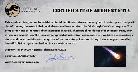 0.9" Moon Rock Lunar Meteorite Bechar 003 Algerian Sahara Desert 2022 1.9 Grams - Fossil Age Minerals