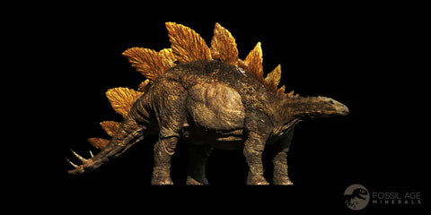 3.7" Stegosaurus Fossil Vertebrae Morrison FM Jurassic Age WY Dinosaur Stand COA - Fossil Age Minerals