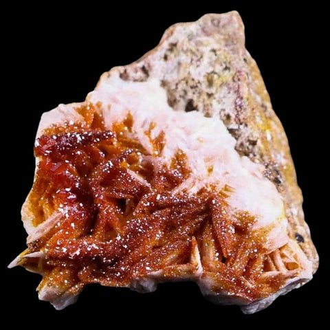 Sparkly Orange Vanadinite Crystals On Orange Barite Blades Mineral Morocco - Fossil Age Minerals