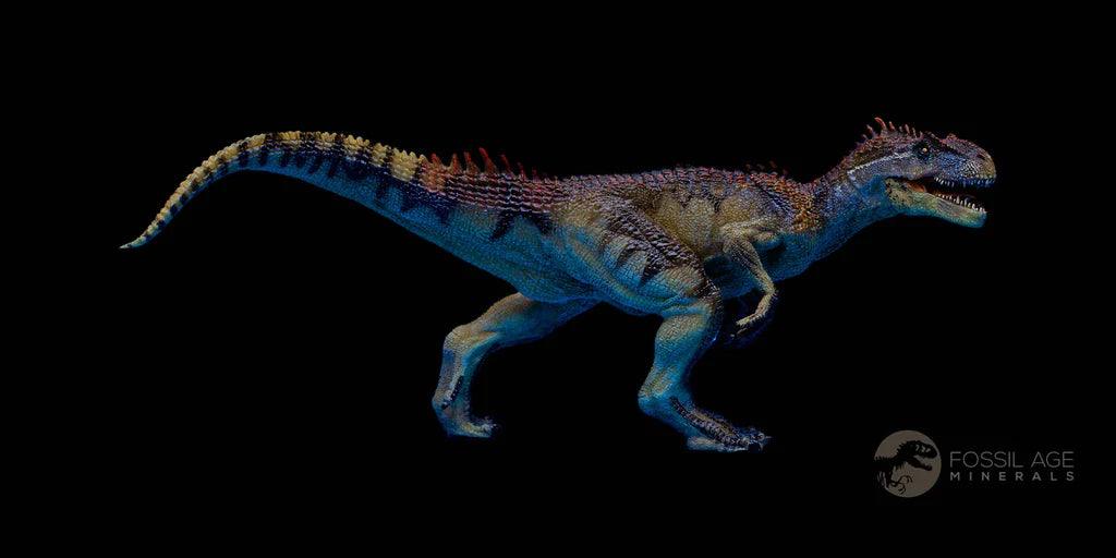 5.1" Allosaurus Fossil Ulna Bone Morrison FM Colorado Jurassic Dinosaur COA Stand - Fossil Age Minerals