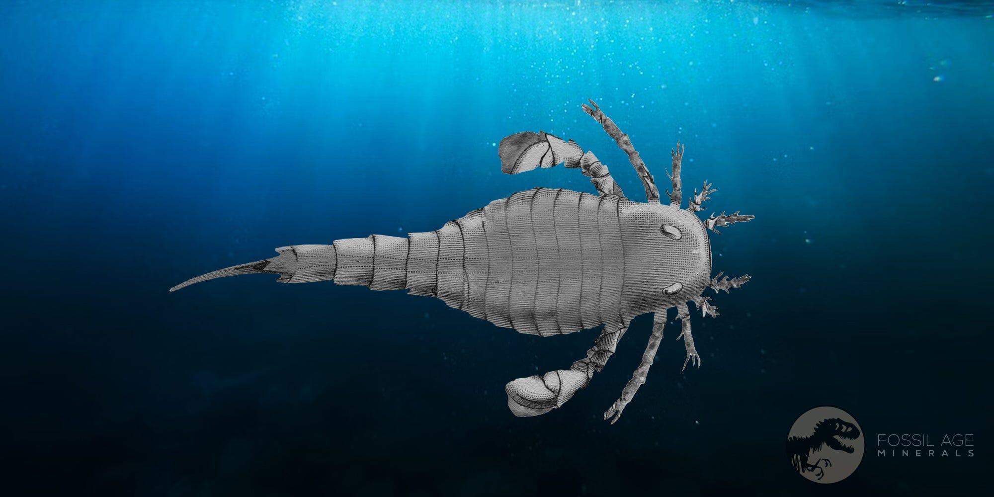 3.1" Eurypterus Sea Scorpion Fossil Eurypterid Silurian 420 Mil Yrs Old New York Stand - Fossil Age Minerals