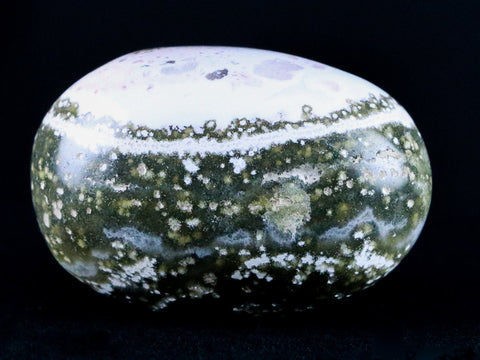 1.9" Natural Polished Ocean Jasper Crystal Palm Stone Location Madagascar Healing - Fossil Age Minerals