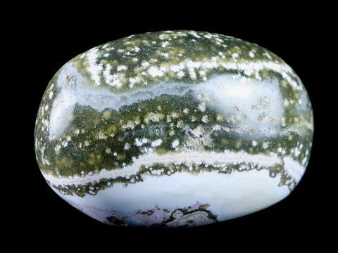 1.9" Natural Polished Ocean Jasper Crystal Palm Stone Location Madagascar Healing - Fossil Age Minerals