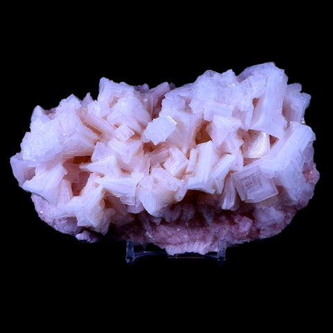 5" Quality Pink Halite Salt Crystals Cluster Mineral Trona, CA Searles Lake Stand - Fossil Age Minerals