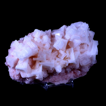5" Quality Pink Halite Salt Crystals Cluster Mineral Trona, CA Searles Lake Stand
