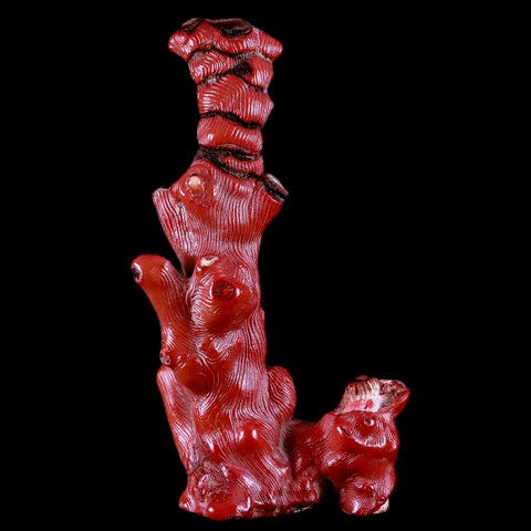 XL 4.9" Red Bamboo Coral Branches Deep-Sea Coral Color Enhanced 4.7 Ounces - Fossil Age Minerals