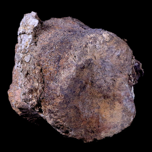 3.8
