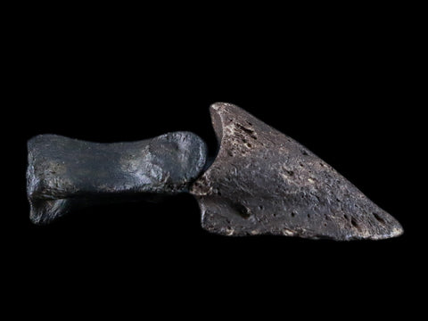 1.8" Crocodile Claw, Limb Bone Fossil Specimen Khorat Basin, Thailand 10 Mil Yrs Old - Fossil Age Minerals