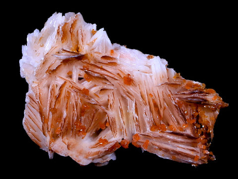 2" Sparkly Orange Vanadinite Crystals On Orange Barite Blades Mineral Morocco - Fossil Age Minerals