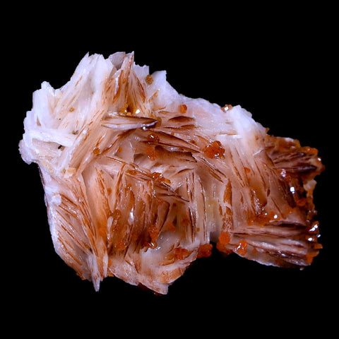 2" Sparkly Orange Vanadinite Crystals On Orange Barite Blades Mineral Morocco - Fossil Age Minerals