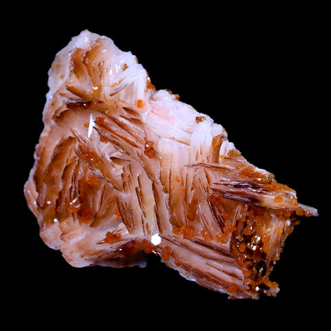 2" Sparkly Orange Vanadinite Crystals On Orange Barite Blades Mineral Morocco - Fossil Age Minerals