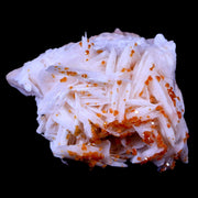 1.8" Sparkly Orange Vanadinite Crystals On White Barite Blades Mineral Morocco