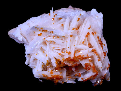1.8" Sparkly Orange Vanadinite Crystals On White Barite Blades Mineral Morocco - Fossil Age Minerals
