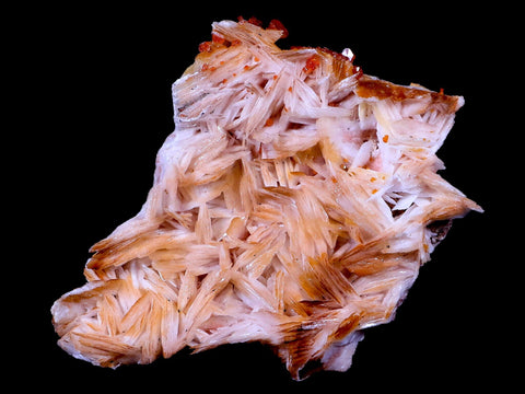 3.2" Sparkly Red Vanadinite Crystals On Orange Barite Blades Mineral Morocco - Fossil Age Minerals
