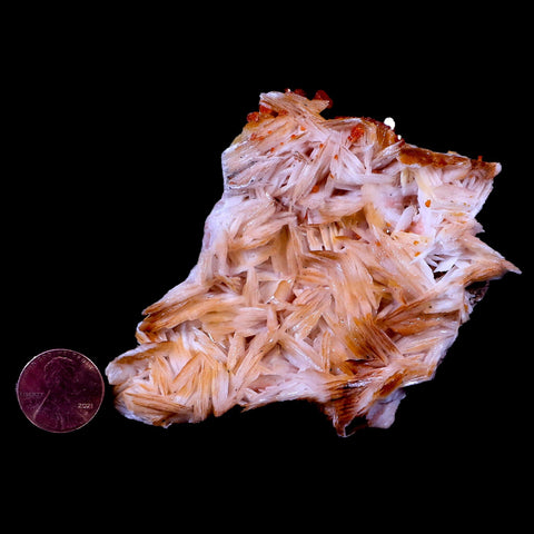 3.2" Sparkly Red Vanadinite Crystals On Orange Barite Blades Mineral Morocco - Fossil Age Minerals