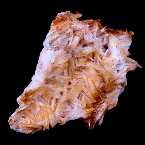 3.2" Sparkly Red Vanadinite Crystals On Orange Barite Blades Mineral Morocco - Fossil Age Minerals