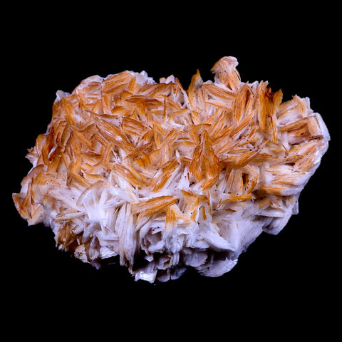 XL 4.4" Orange Crystal Barite Blades Mineral Specimen Mabladen Morocco - Fossil Age Minerals
