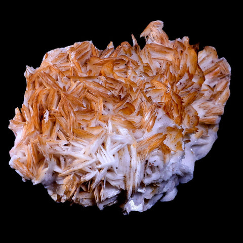 XL 4.4" Orange Crystal Barite Blades Mineral Specimen Mabladen Morocco - Fossil Age Minerals