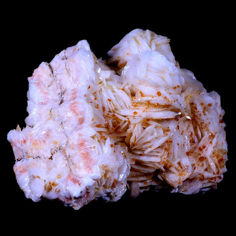 XL 4.3" Sparkly Orange Vanadinite Crystals On White Barite Blades Mineral Morocco - Fossil Age Minerals