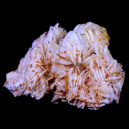 XL 4.3" Sparkly Orange Vanadinite Crystals On White Barite Blades Mineral Morocco