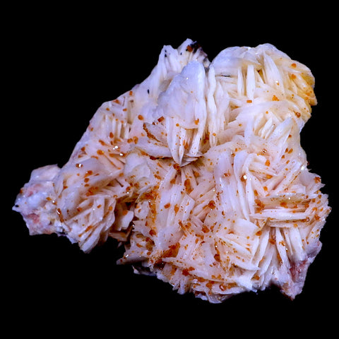 XL 4.3" Sparkly Orange Vanadinite Crystals On White Barite Blades Mineral Morocco - Fossil Age Minerals