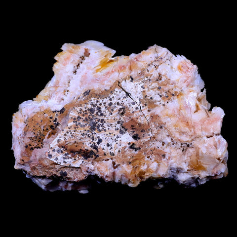 XL 4.3" Sparkly Orange Vanadinite Crystals On White Barite Blades Mineral Morocco - Fossil Age Minerals
