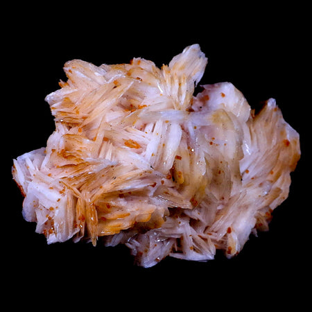 3.2" Sparkly Orange Vanadinite Crystals On White Barite Blades Mineral Morocco