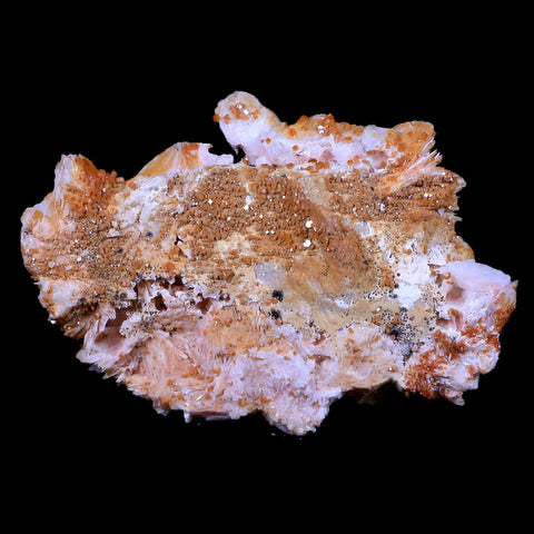 3.2" Sparkly Orange Vanadinite Crystals On White Barite Blades Mineral Morocco - Fossil Age Minerals