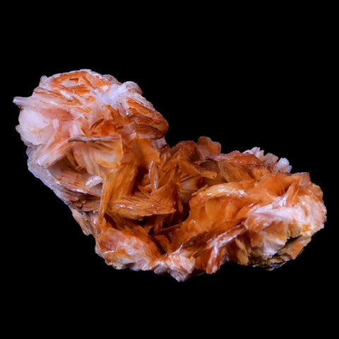 2.7" Orange And Pink Crystal Barite Blades Mineral Specimen Mabladen Morocco - Fossil Age Minerals