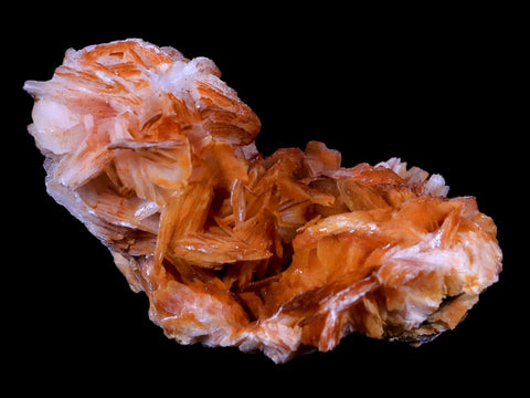 2.7" Orange And Pink Crystal Barite Blades Mineral Specimen Mabladen Morocco - Fossil Age Minerals