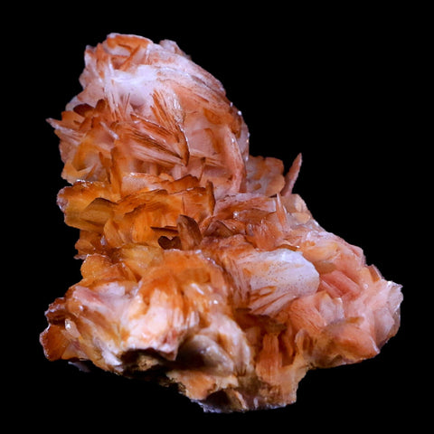 2.7" Orange And Pink Crystal Barite Blades Mineral Specimen Mabladen Morocco - Fossil Age Minerals