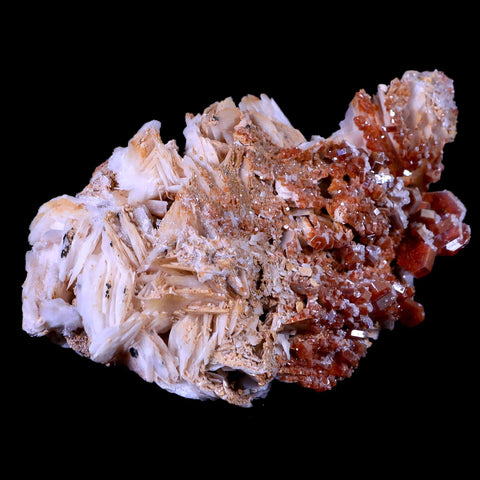 4.1" Sparkly Red Vanadinite Crystals On Orange Barite Blades Mineral Morocco - Fossil Age Minerals