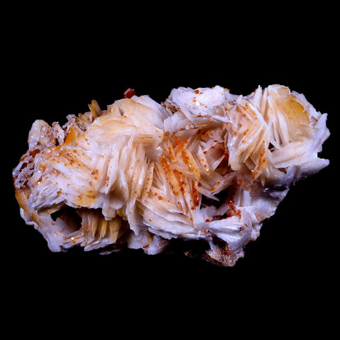 3.8" Sparkly Red Vanadinite Crystals On Orange Barite Blades Mineral Morocco - Fossil Age Minerals